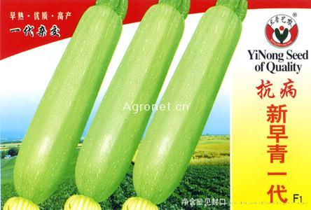 抗病新早青一代—西葫芦种子 
