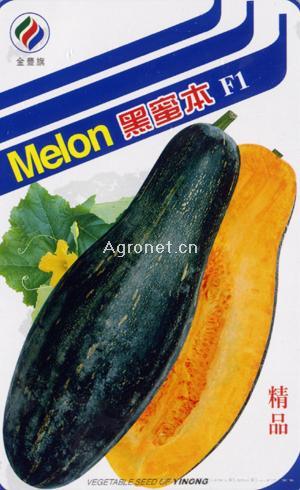 黑蜜本杂交一代—南瓜种子 