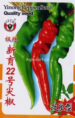 新育22号尖椒--辣椒种子 