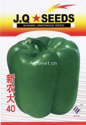  新农大40辣椒—甜椒种子