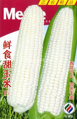  鲜食甜玉米F1—菜用玉米种子