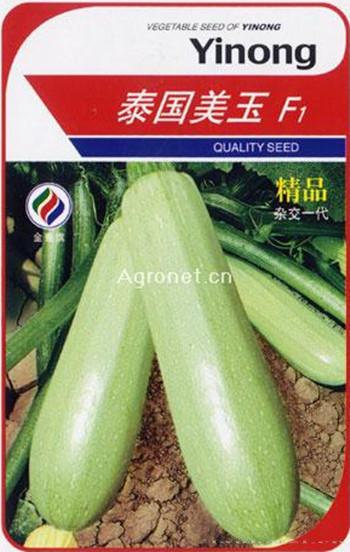 泰国美玉F1—西葫芦种子 