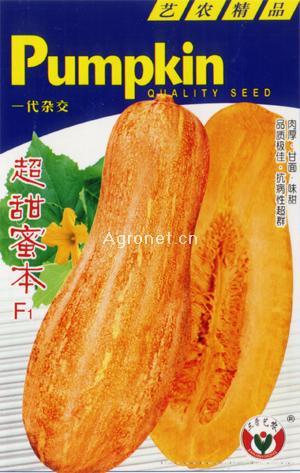 超甜蜜本--南瓜种子 