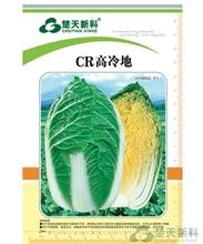 CR高冷地 