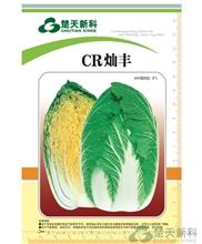 CR灿丰 