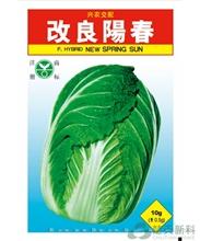 改良阳春 