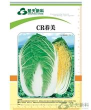 CR春美