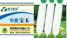华晨宝玉 