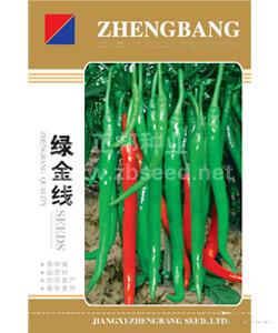 绿金线