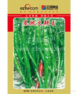 基地火辣王