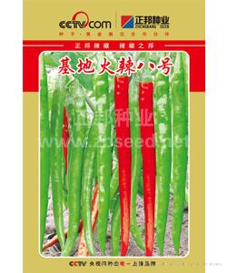 基地火辣八号