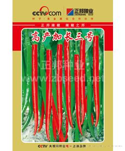 高产加长三号