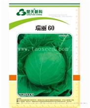 瑞丽60 