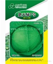 楚天绿7号 