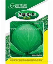 楚圆春101 