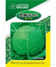 楚圆春102