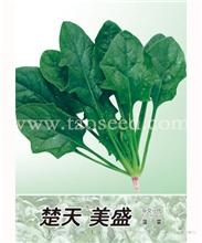 楚天美盛 