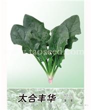 太合丰华 