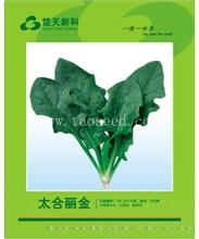 太合丽金 