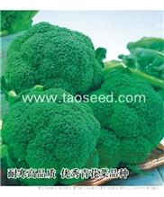 卡罗110 