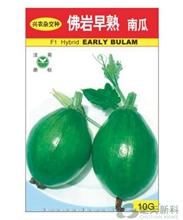 佛岩早熟