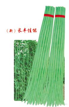 供应（新）长丰佳能—豇豆种子 