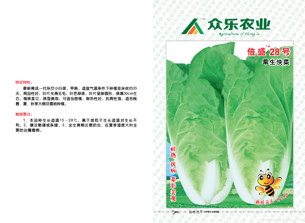 倍盛28号早生快菜