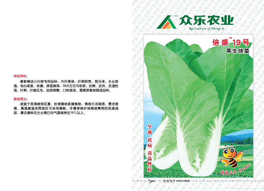 倍盛19号早生快菜