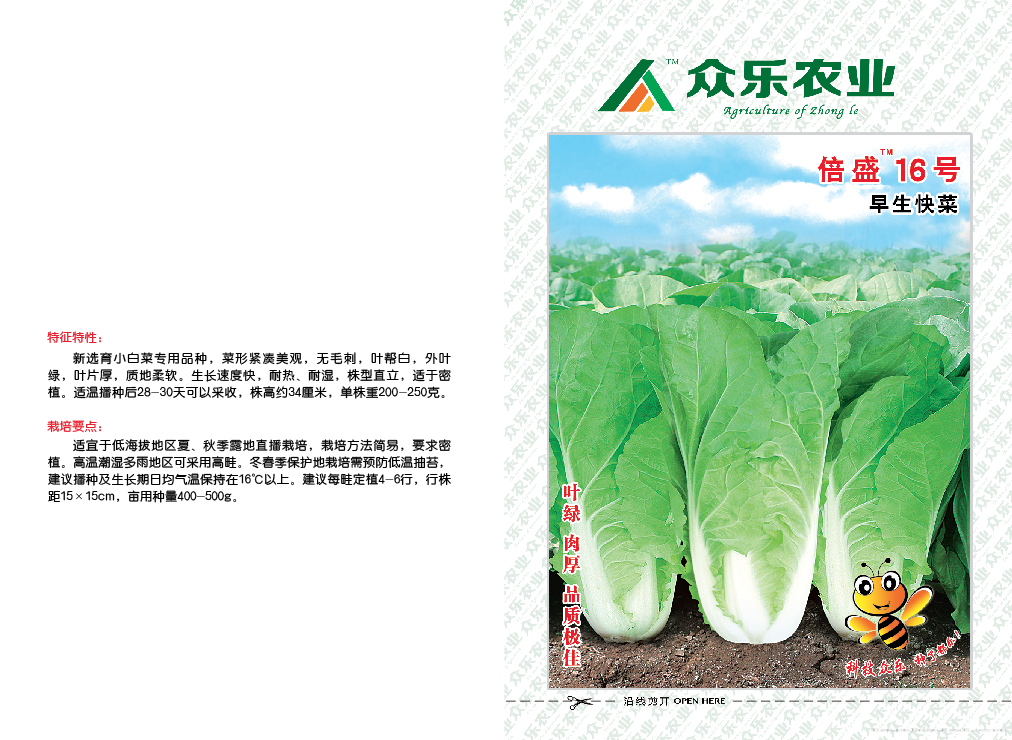 倍盛16号早生快菜