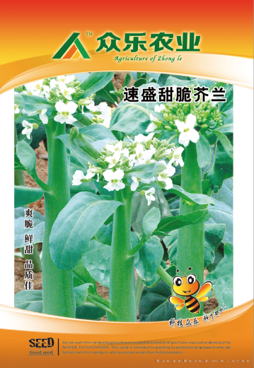 速盛甜脆芥兰10g/袋