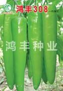 鸿丰308——尖椒种子