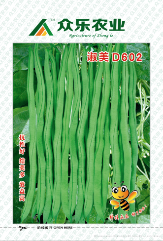 淑美D602