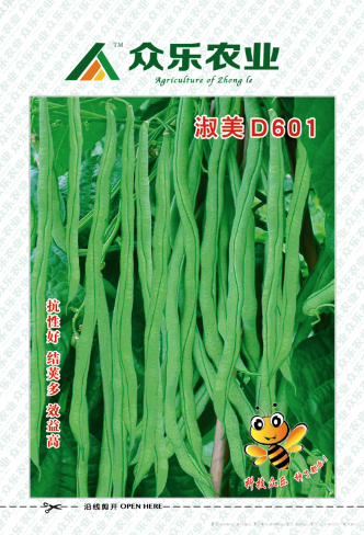 淑美D601