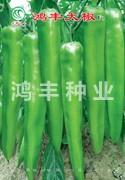 鸿丰大椒——尖椒种子