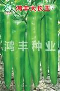 鸿丰大长王——尖椒种子