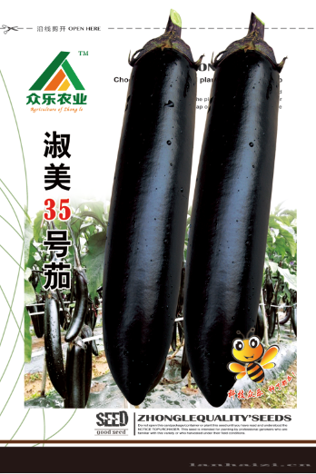 淑美35号墨茄