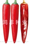 鸿丰红帅——尖椒种子
