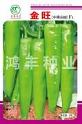 金旺——尖椒种子