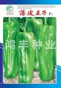 薄皮王子——泡椒种子
