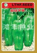 超级早翠——泡椒种子