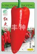 红太阳——泡椒种子
