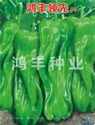 鸿丰***——泡椒种子