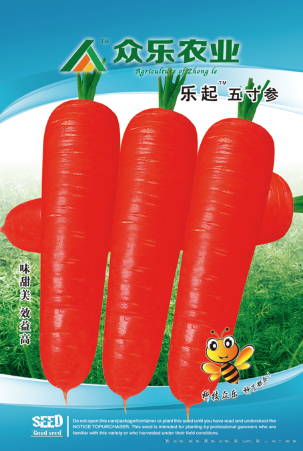乐起五寸人参10g/袋