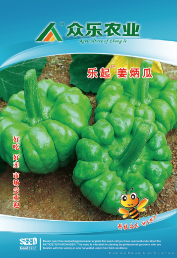 乐起姜柄瓜 10g/袋