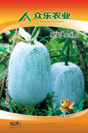 乐起大冬瓜 10g/袋