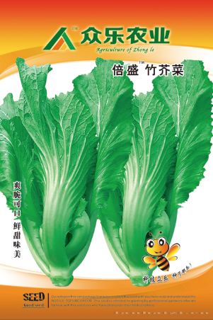 倍盛竹芥菜 