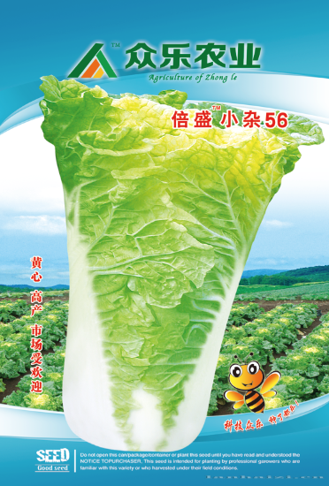 倍盛小杂56