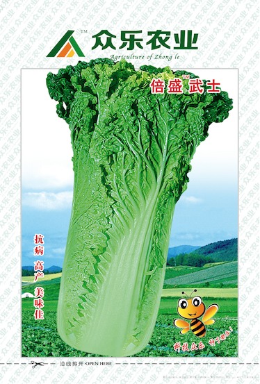  倍盛武士
