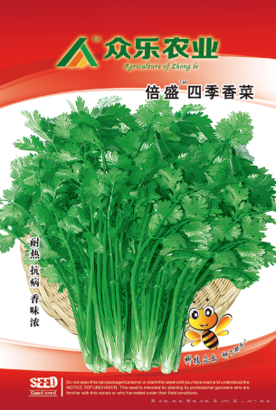 倍盛四季香菜——早熟