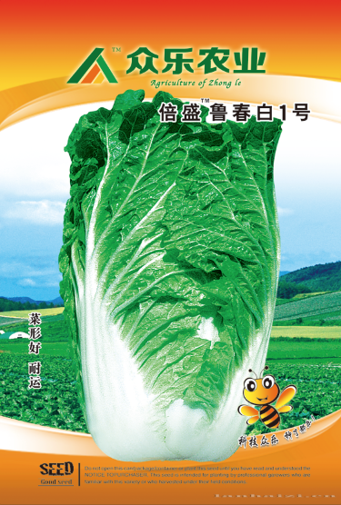鲁春白一号